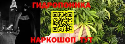 индика Изобильный