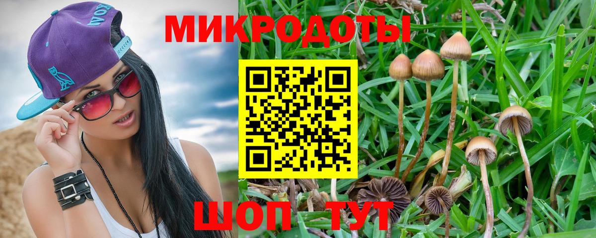 Галлюциногенные грибы Psilocybe  Псилоцибиновые грибы прущие грибы  Вход с VPN  Малоярославец 