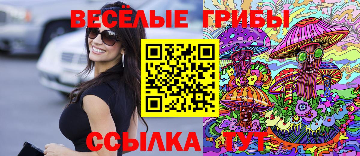Псилоцибиновые грибы Cubensis Малоярославец